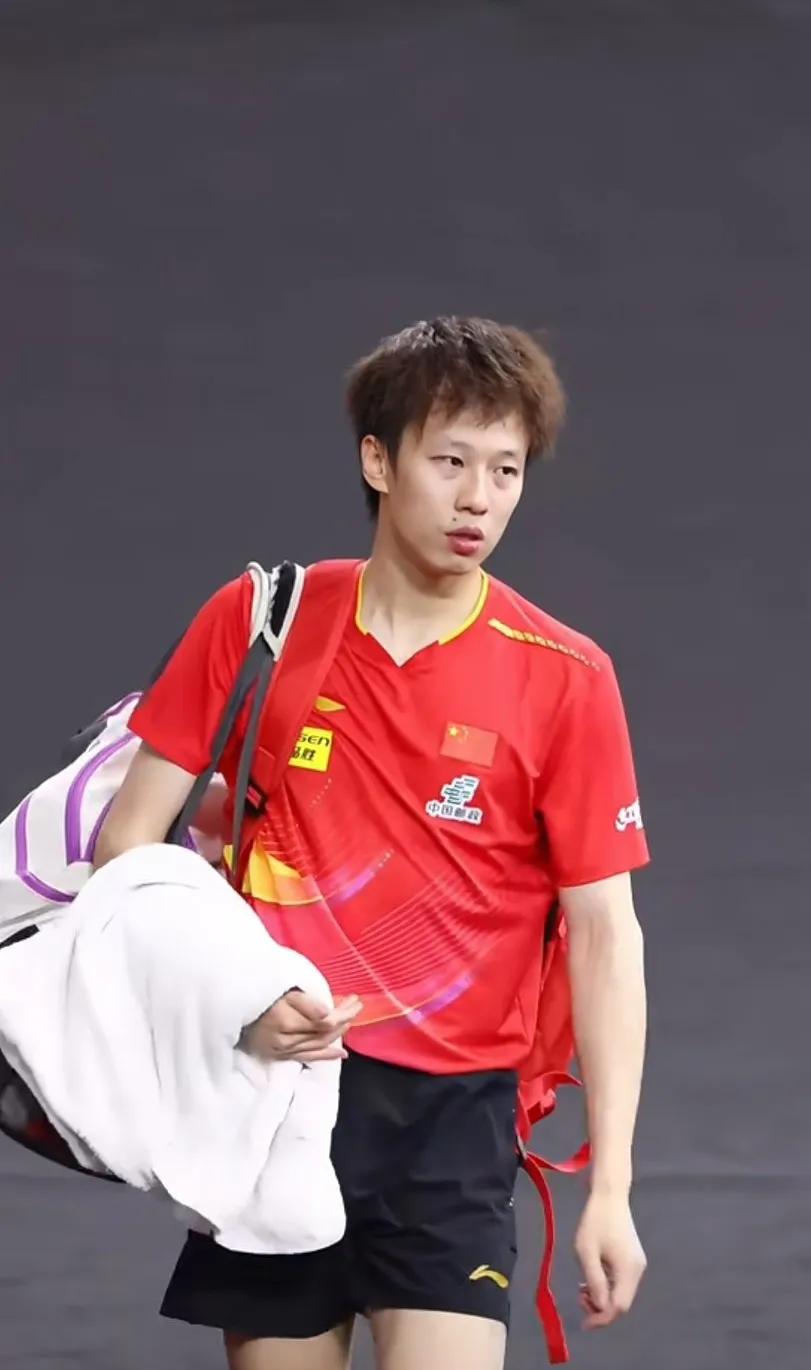 关于德国乒乓球队翻盘比利时乒乓球队，王皓高光表现的信息