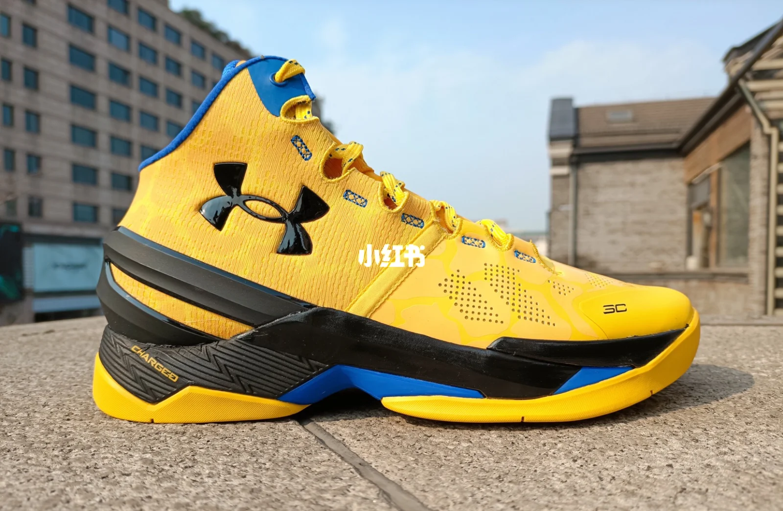 关于勒沃库森鏖战丹麦，博格巴2三分雨点燃全场的信息