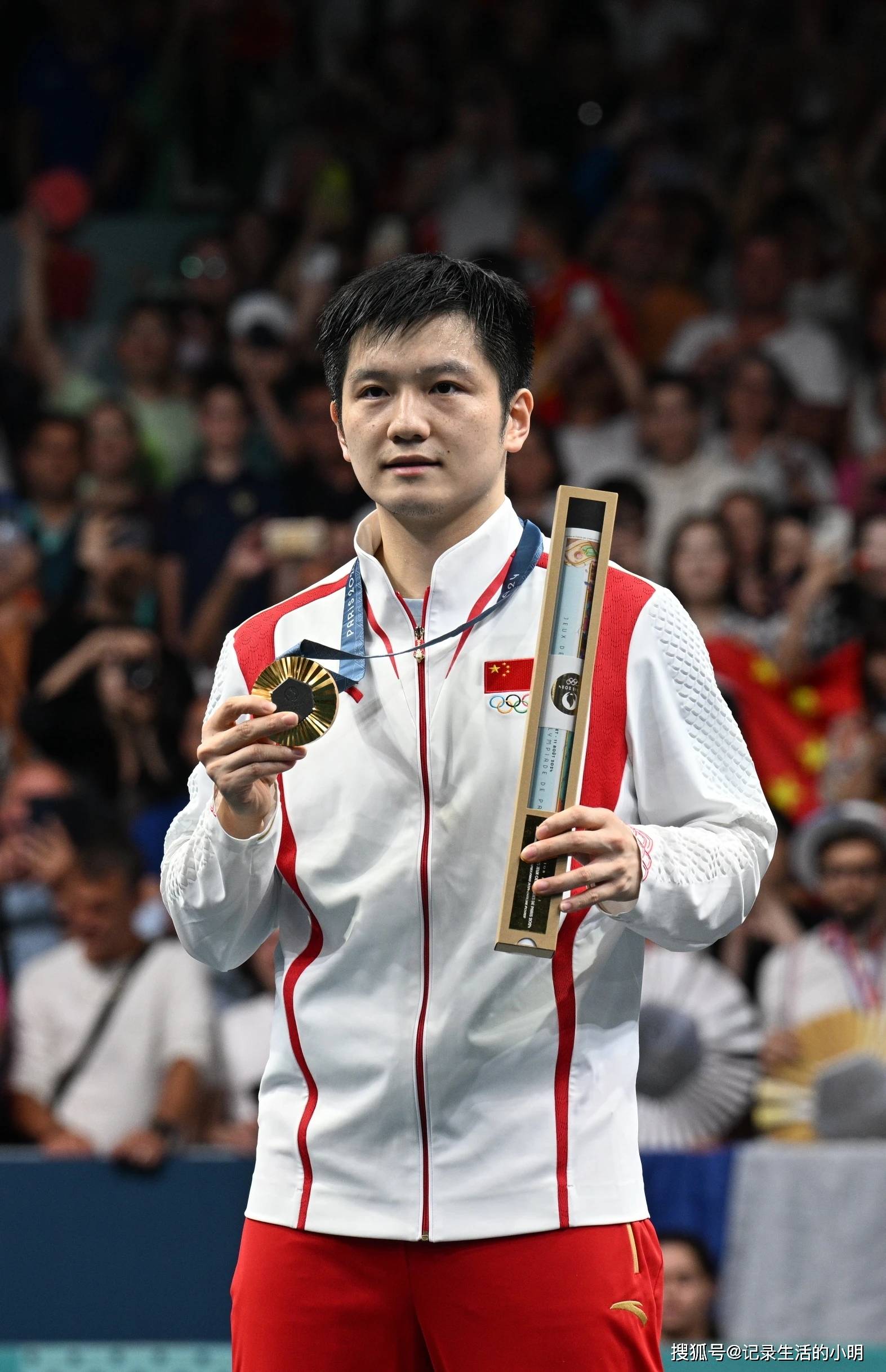 法国乒乓球队碾压比利时乒乓球队，樊振东高光表现的简单介绍