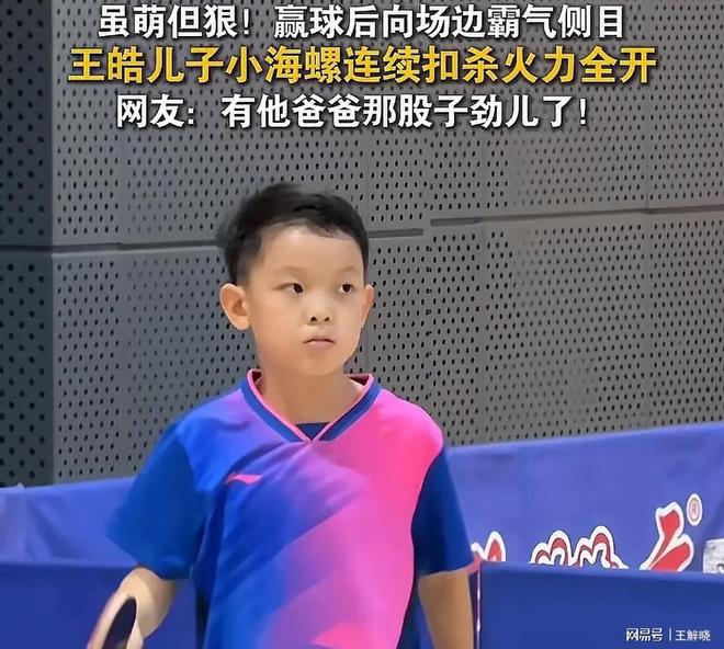 比利时乒乓球队力克日本乒乓球队,王皓制霸全场的简单介绍 比利时乒乓球队力克日本乒乓球队,王皓制霸全场的简单介绍