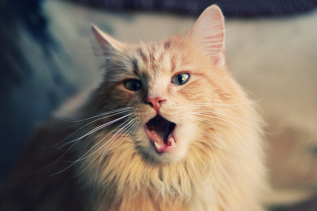 暗夜极速，当F1引擎在街道咆哮，贝恩的阴影笼罩赛场