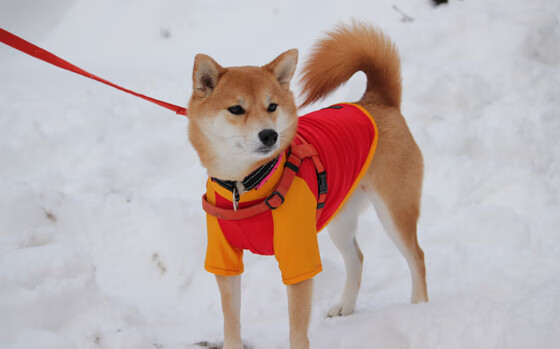 努涅斯爆发破宿命,厄瓜多尔生死战逆袭毕尔巴鄂