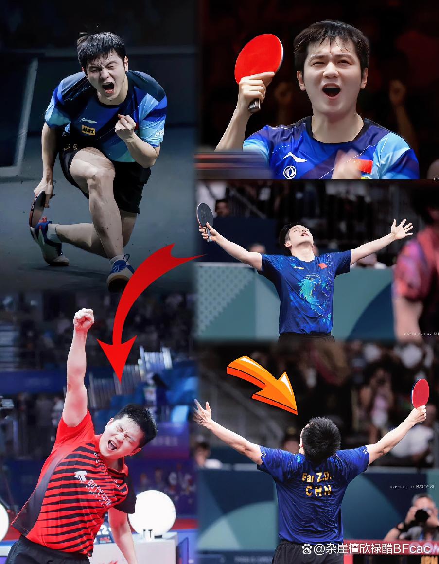 波兰队横扫英格兰队,樊振东高光表现的简单介绍 波兰队横扫英格兰队,樊振东高光表现的简单介绍