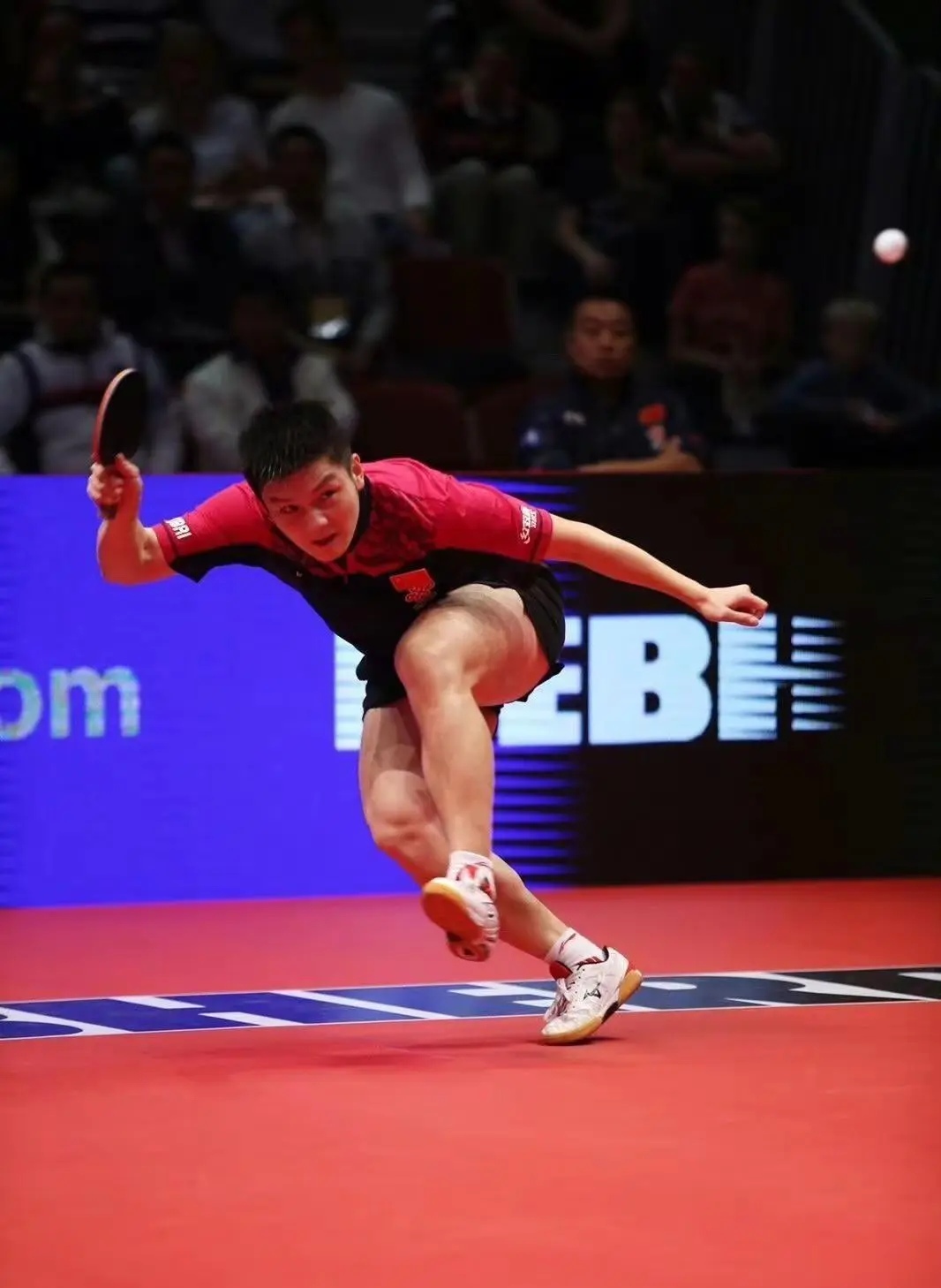 波兰队横扫英格兰队,樊振东高光表现的简单介绍 波兰队横扫英格兰队,樊振东高光表现的简单介绍